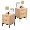 Rattan Nightstand Set of 2,Bedside Table with 2 Natural Rattan Drawers and Metal Legs