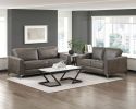 Brownish Gray Polished Microfiber Upholstery Elegant Modern Style Sofa 1pc Solid Wood Living Room Furniture Silver Finish Metal Legs